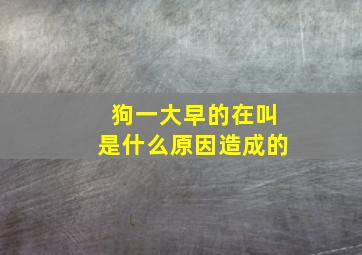 狗一大早的在叫是什么原因造成的