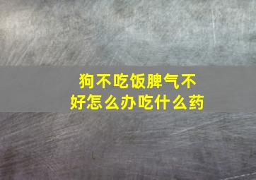 狗不吃饭脾气不好怎么办吃什么药