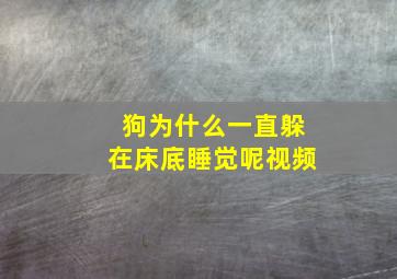 狗为什么一直躲在床底睡觉呢视频