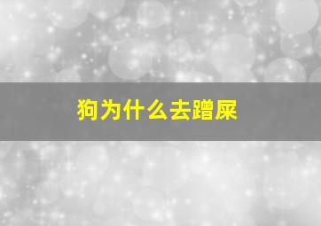 狗为什么去蹭屎