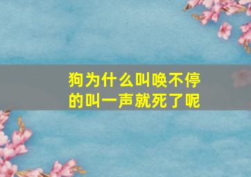 狗为什么叫唤不停的叫一声就死了呢