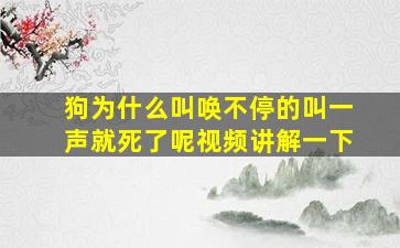 狗为什么叫唤不停的叫一声就死了呢视频讲解一下