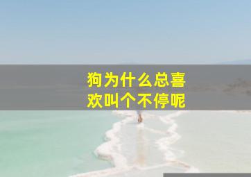 狗为什么总喜欢叫个不停呢