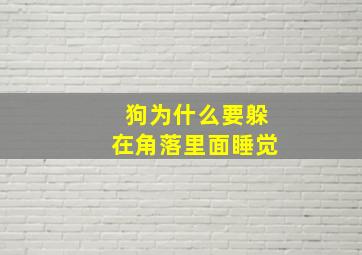 狗为什么要躲在角落里面睡觉