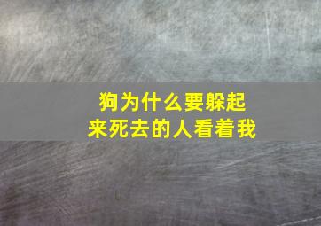 狗为什么要躲起来死去的人看着我