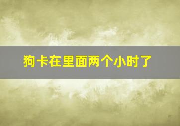 狗卡在里面两个小时了