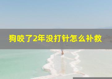 狗咬了2年没打针怎么补救