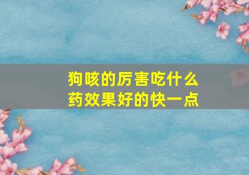 狗咳的厉害吃什么药效果好的快一点