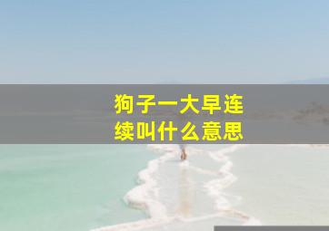 狗子一大早连续叫什么意思