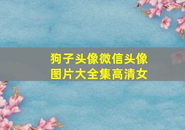 狗子头像微信头像图片大全集高清女