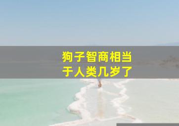 狗子智商相当于人类几岁了