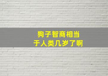 狗子智商相当于人类几岁了啊