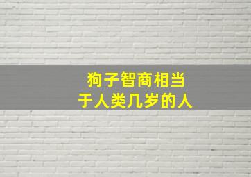 狗子智商相当于人类几岁的人