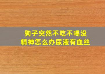 狗子突然不吃不喝没精神怎么办尿液有血丝