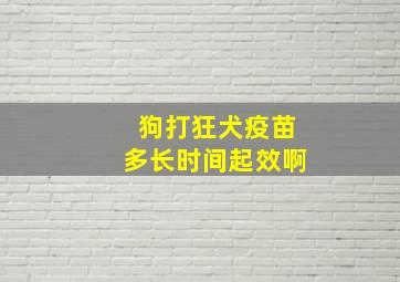 狗打狂犬疫苗多长时间起效啊