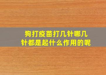 狗打疫苗打几针哪几针都是起什么作用的呢