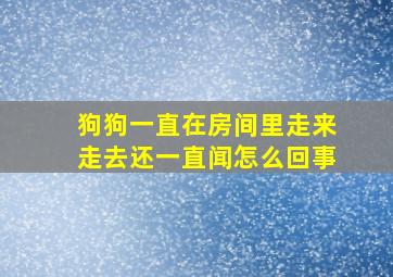 狗狗一直在房间里走来走去还一直闻怎么回事