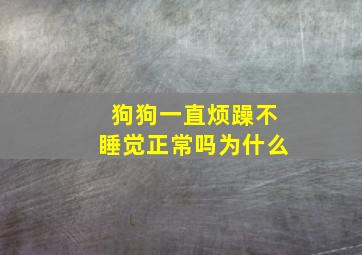 狗狗一直烦躁不睡觉正常吗为什么