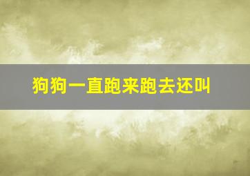 狗狗一直跑来跑去还叫