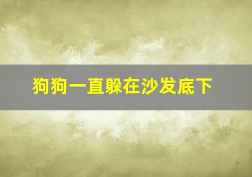 狗狗一直躲在沙发底下