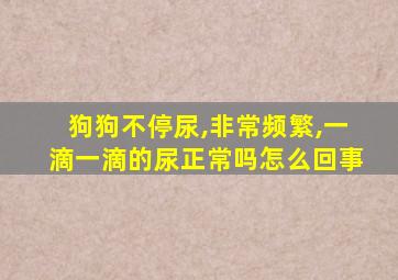 狗狗不停尿,非常频繁,一滴一滴的尿正常吗怎么回事