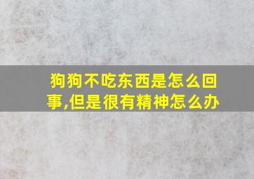 狗狗不吃东西是怎么回事,但是很有精神怎么办