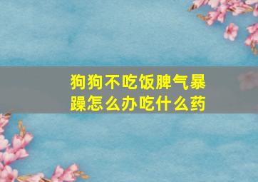 狗狗不吃饭脾气暴躁怎么办吃什么药