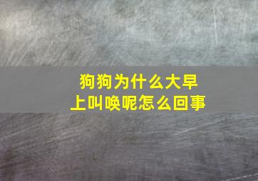 狗狗为什么大早上叫唤呢怎么回事