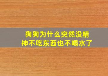 狗狗为什么突然没精神不吃东西也不喝水了