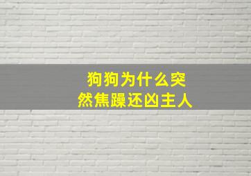 狗狗为什么突然焦躁还凶主人