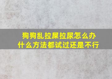 狗狗乱拉屎拉尿怎么办什么方法都试过还是不行