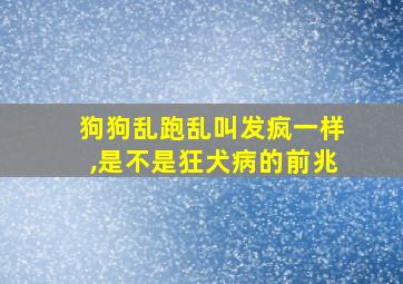 狗狗乱跑乱叫发疯一样,是不是狂犬病的前兆