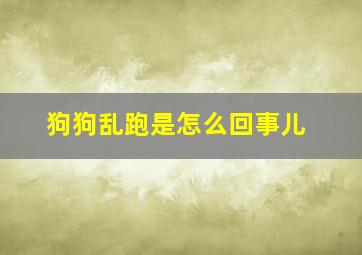 狗狗乱跑是怎么回事儿