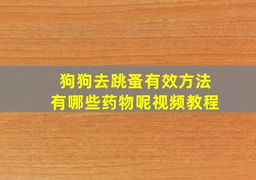 狗狗去跳蚤有效方法有哪些药物呢视频教程