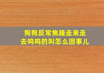 狗狗反常焦躁走来走去呜呜的叫怎么回事儿