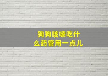 狗狗咳嗦吃什么药管用一点儿