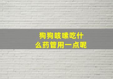 狗狗咳嗦吃什么药管用一点呢