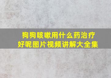 狗狗咳嗽用什么药治疗好呢图片视频讲解大全集