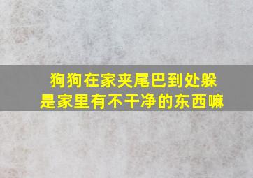 狗狗在家夹尾巴到处躲是家里有不干净的东西嘛