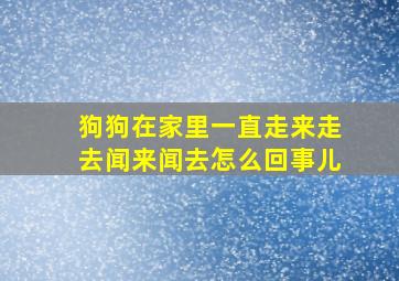 狗狗在家里一直走来走去闻来闻去怎么回事儿