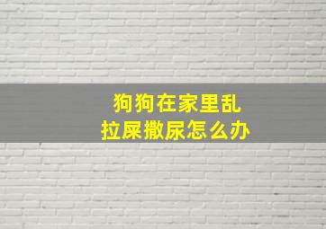 狗狗在家里乱拉屎撒尿怎么办