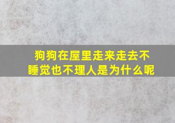 狗狗在屋里走来走去不睡觉也不理人是为什么呢