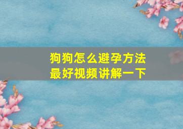 狗狗怎么避孕方法最好视频讲解一下