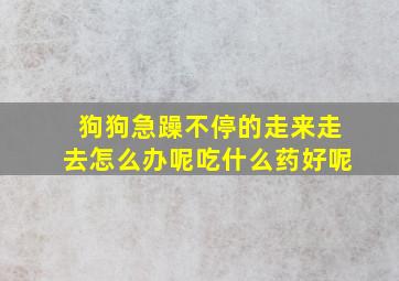 狗狗急躁不停的走来走去怎么办呢吃什么药好呢