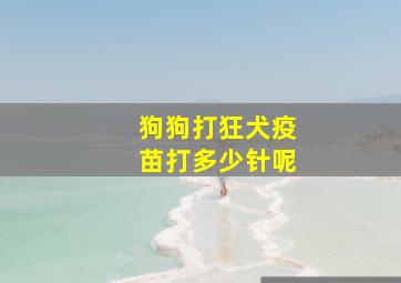 狗狗打狂犬疫苗打多少针呢