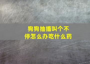 狗狗抽搐叫个不停怎么办吃什么药