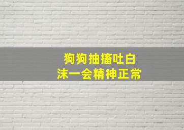 狗狗抽搐吐白沫一会精神正常