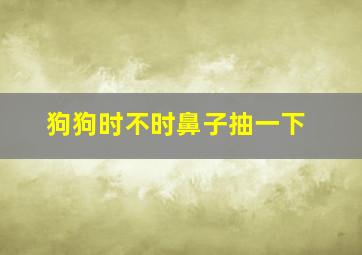 狗狗时不时鼻子抽一下