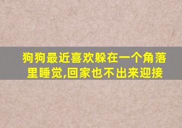 狗狗最近喜欢躲在一个角落里睡觉,回家也不出来迎接