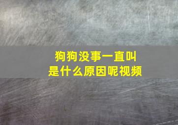 狗狗没事一直叫是什么原因呢视频